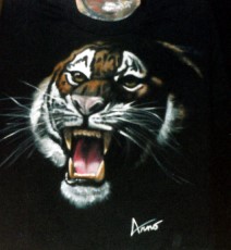 Tiger in The Dark