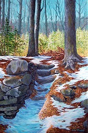 Winter Woods